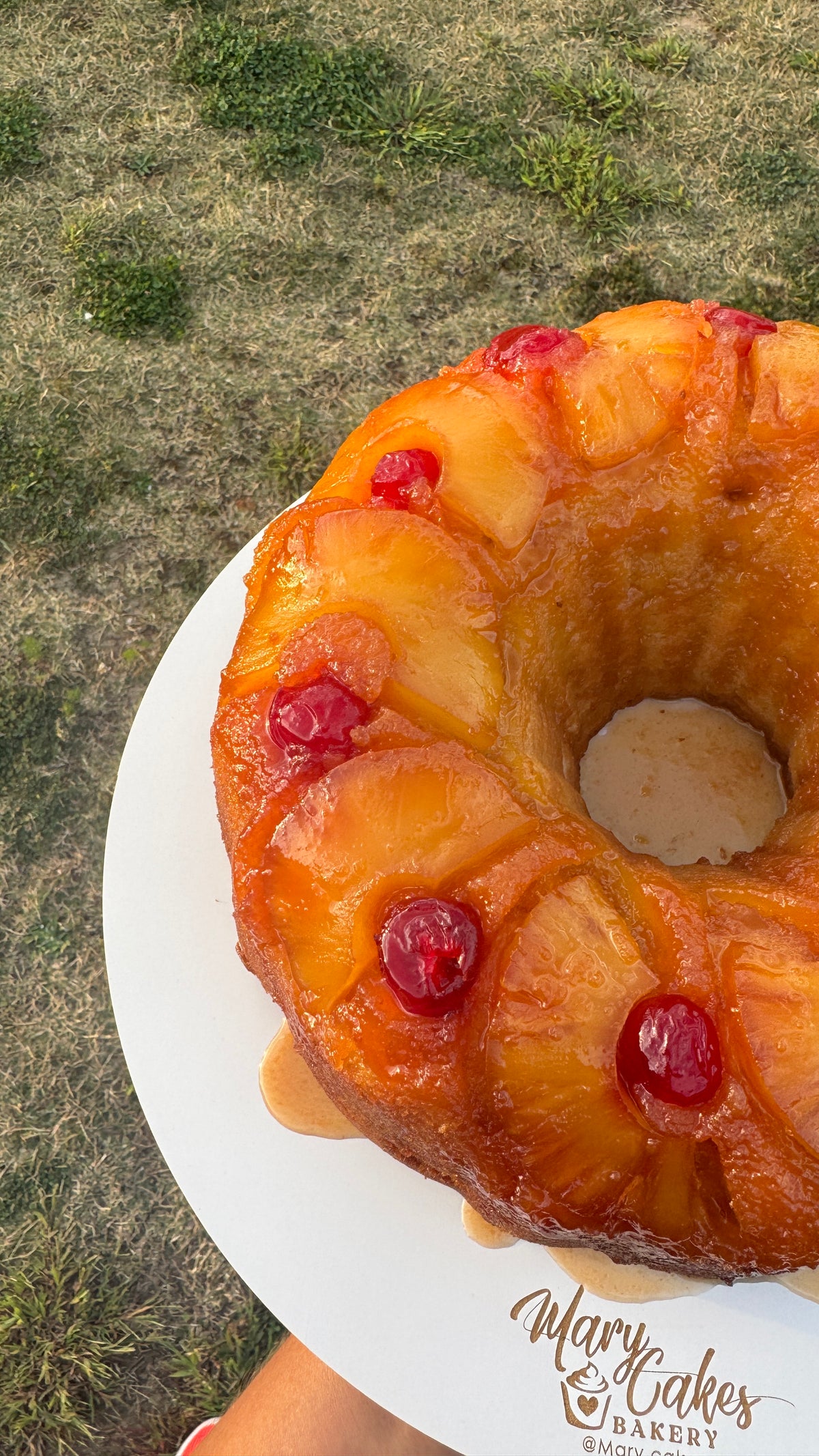 Taller Online Torta de Piña🍍